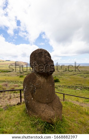 moai face easter island rapa nui