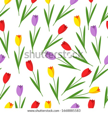 Tulip flower vector seamless pattern on a white background.