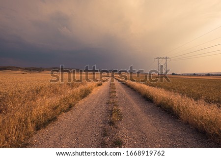 a ground path walks into an endless landscape to the infinity with heavy storm clouds