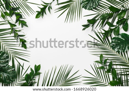 Palm and monstera leaves frame for your design. Isolated on white background, round copy space
