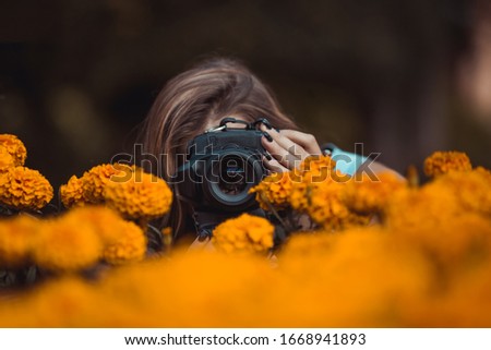 young photographer try to catch the perfect moment in a flowers field