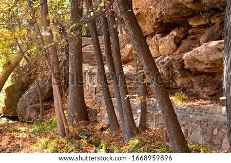 scenic forest and stone stairs in the fall verde valley arizona usa