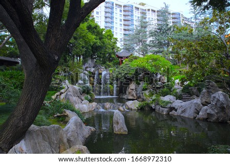 Beautiful Park with ponds lush green trees in Sydney NSW Australia at Sunset on a summer afternoon