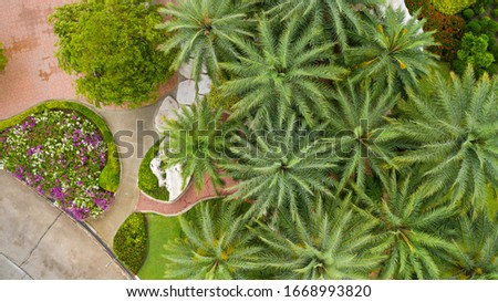 Aerial view of Beautiful green garden