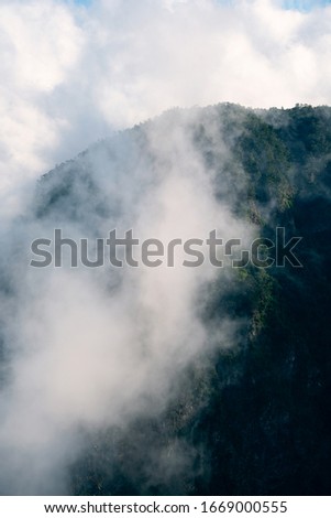 Fog in the mountains. Photo of trees