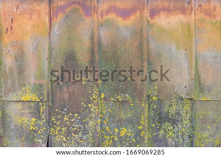 Background of embossed metal sheets rusty with moss. divorces. Royalty-Free Stock Photo #1669069285