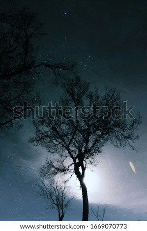 A low angle shot of a silhouette of tree branches with the moon in the background