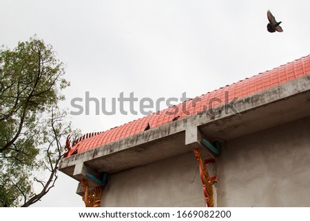 
A picture of a bird on the roof