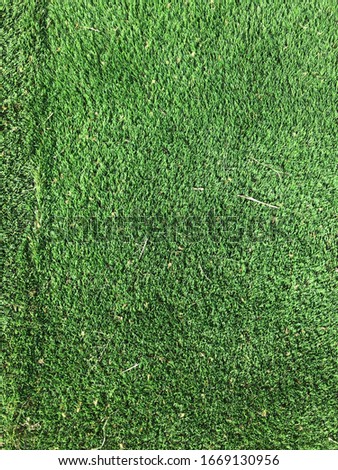 
green artificial grass texture 2020