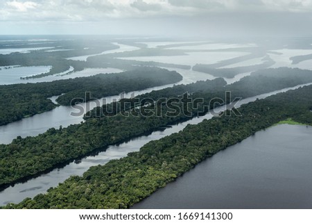 Beautiful aerial view to Negro River green Amazon island archipelago of Anavilhanas, Amazonas, Brazil