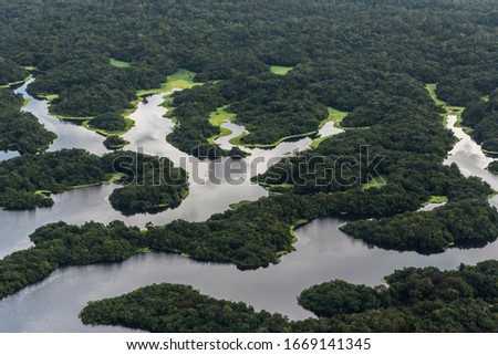 Beautiful aerial view to flooded rainforest and river in the Amazon near Manaus, Amazonas, Brazil