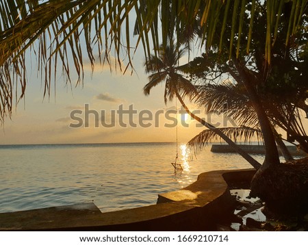 Black silhouettes of palm trees against the sunset and the sea