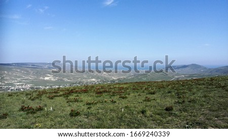 Blooming of pivoins (Paeonia daurica) on the plateau on Klementyev Mountain, or Uzun Sırt, on the 45th (Golden) Parallel near Koktebel, Crimea, Russia