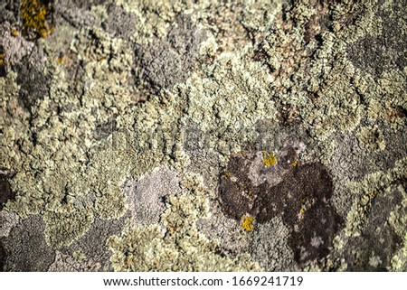 Rocks background close up another planet textures