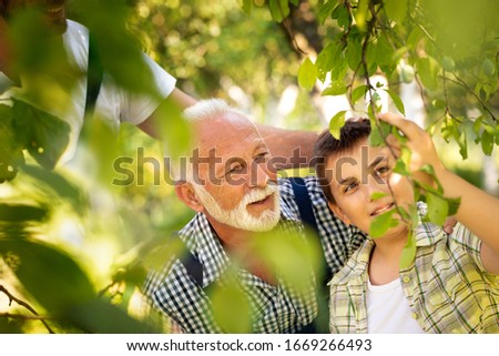 Grandfather learn his grandson orchard tips and tricks. Old and Young. Concept of senior man with grandson working in orchard.
