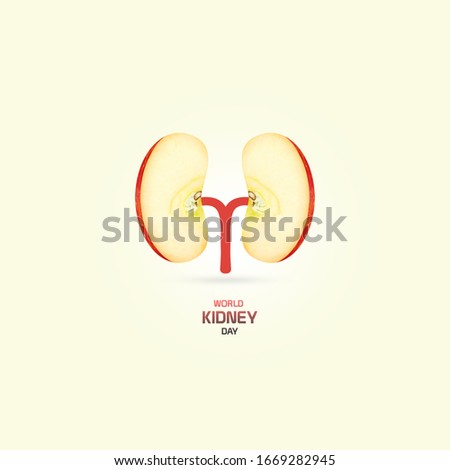 Kidney shape with slice apple with isolated background.World Kidney Day is observed annually on the 2nd Thursday in March.