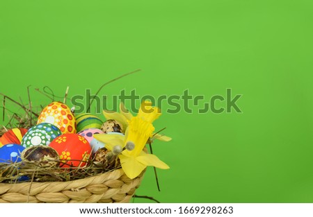 Happy Easter - painted eggs and daffodils on colored background