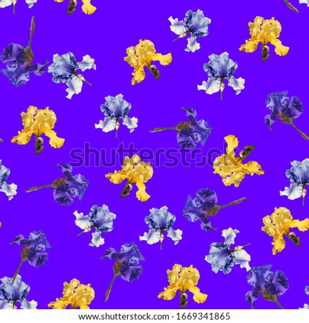 Ornament base member, a part of a pattern, that is repeated several time on the textile, tissue paper, carpet, wallpaper, wrapping paper.
Seamless pattern with irises  on a persian blue background.
