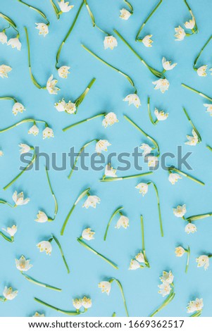 White spring flowers on blue flat lay. Floral trendy pattern. Hello spring. Stylish greeting card. Happy womens day concept. Happy mothers day. Spring snowflake
