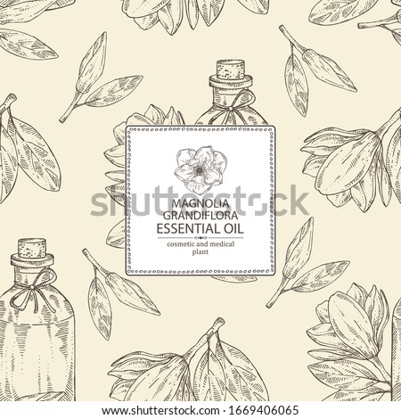 Background with magnolia grandiflora flower, bud and bottle of magnolia essential oil. Cosmetic, perfumery and medical plant. Vector hand drawn illustration