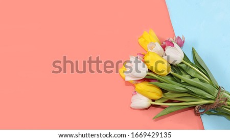 Creative layout with tulips on a colorful background, minimal holiday and spring concept, geometry. Greeting card, spring banner for the screen, happy birthday, wedding, place for text, flat lay