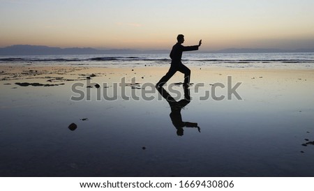 Silhouette of man practiceing qigong exercises at sunset by the sea Royalty-Free Stock Photo #1669430806