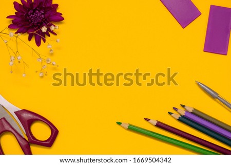 Back to school concept flat lay.Scissors,colorful pencils and flower of chrysanthemum on the yellow background.Copy space for text,top view