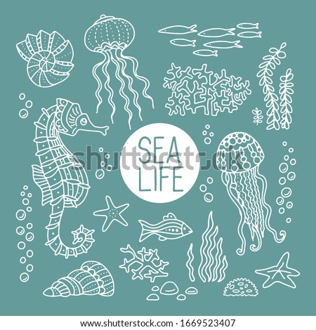 Hand drawn set doodle decorative white  vector illustration ammonite,medusa, seashell, seahorse, coral, fish, fishstar isolated on green background. Sea life design for child book, page, card, print