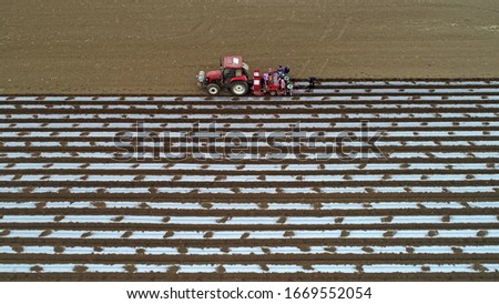 Planter in fields mulching potatoes, North China