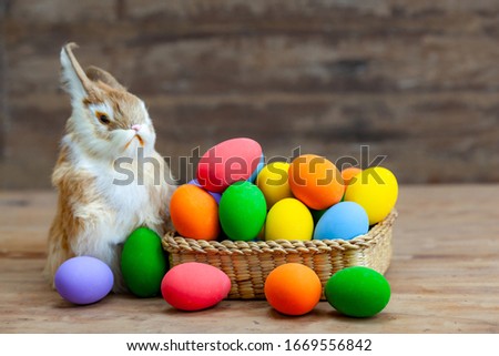 Rabbits and colorful eggs are placed in baskets on wooden floors for Easter