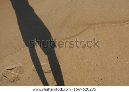 Sunny shadow of a man on the beach background