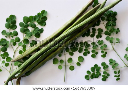top view Pods and leaves of Moringa, isolated on white background