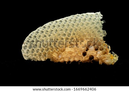 Bee eggs pictures, Bee brood