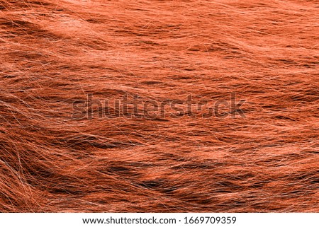 Background of bright red natural hair High quality image.