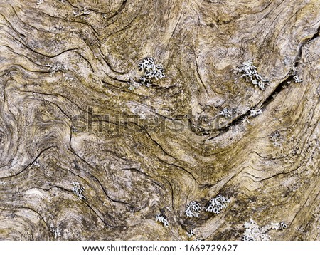 Old wood Texture With Natural Pattern