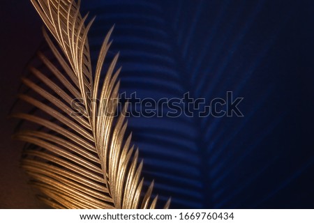Glamor Golden tropical leaves and shadow on dark blue background, art deco style, selective focus. Royalty-Free Stock Photo #1669760434