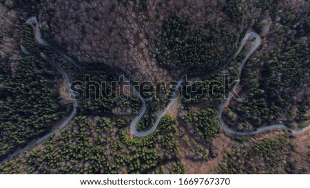 Aerial shot above a wild road