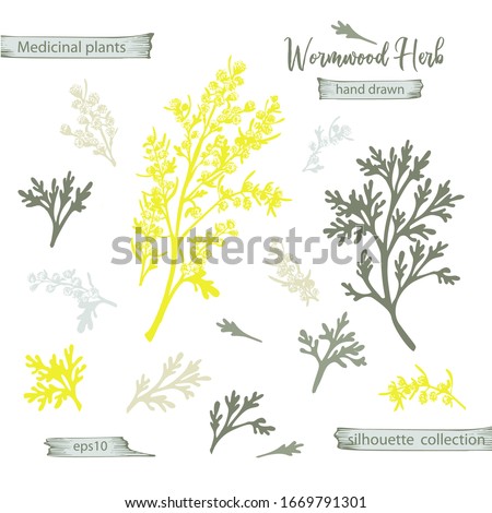 Set color hand drawn silhouette of wormwood, lives and flowers isolated on white background. Retro vintage graphic design. Botanical sketch drawing, engraving style. Vector illustration. Royalty-Free Stock Photo #1669791301