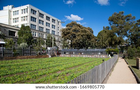organic small farm in the city