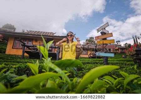 amazing landscape view. girl journey and tourists visiting northern tea farm during the cold season, traveler many people visiting at Mae Hong Son Province, Thailand country asia   