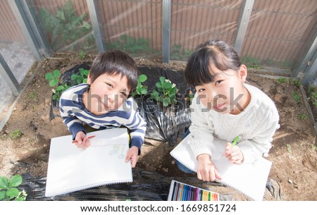 Elementary school child copying strawberry seedlings