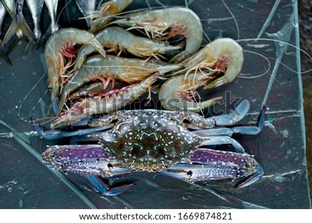 fresh blue swimming crabs and shrimp for sale at fish market                              