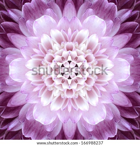 Pink Concentric Flower Center Macro Close-up. Mandala Kaleidoscopic design