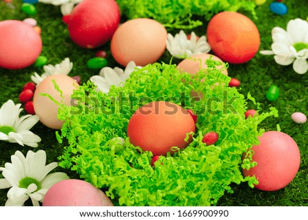 Close up photo of colored Easter eggs and candies on grass