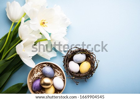 Natural dyed Easter eggs and white tulips on blue background top view. Happy spring holiday banner, card, concept, design