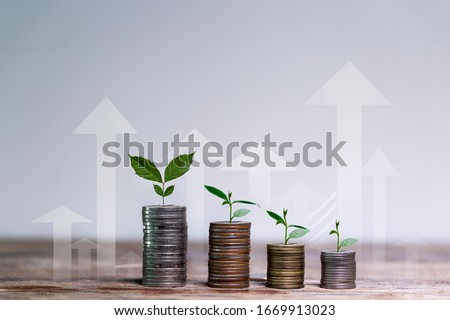 Business investment growth concept. tree piles of coins with small trees.