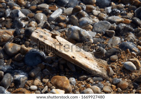 Drift wood on pebble beach