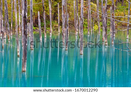Shirogane Blue Pond, Hokkaido, Japan 