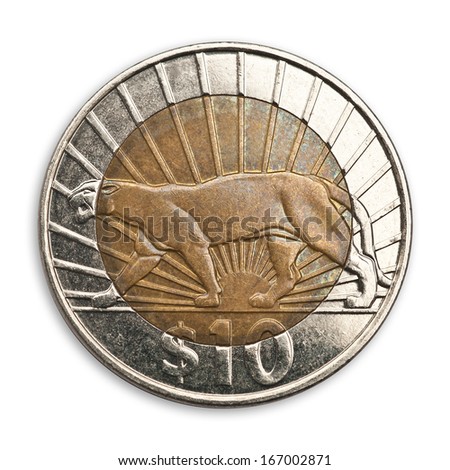 Ten Uruguayan pesos coin, with cougar,  isolated, white background. Clipping path excludes the shadow.