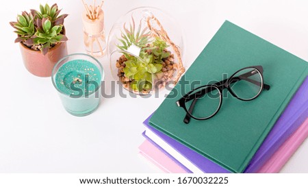 Multicolor books stack, house plants succulents and fragrant candle and sticks. Background for World Book Day. Still life with stack of colorful books and home interior decor